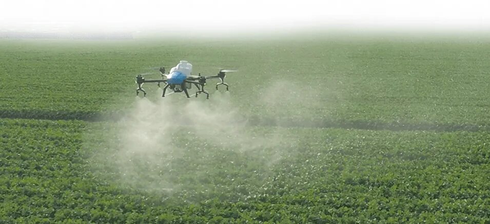 Field processing