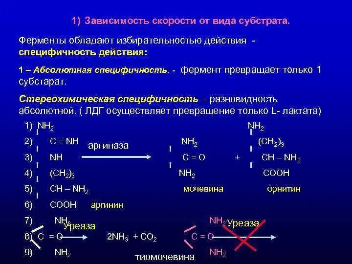 Ферменты обладают специфичностью. Стереохимическая специфичность ферментов. Стереохимическая Субстратная специфичность. Уреаза специфичность. Ферментативная специфичность липаз.