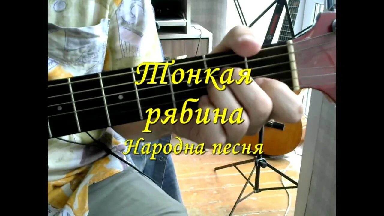 Старый клен на баяне разбор. Тонкая рябина на гитаре. Тонкая рябина ноты для гитары. Тонкая рябина табы. Тонкая рябина ноты.
