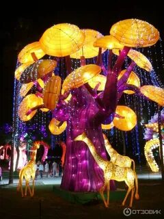 Dubai garden glow отзывы