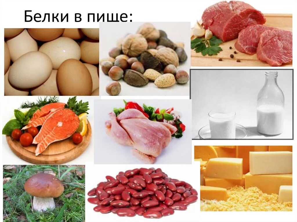 Не ешьте животную пищу