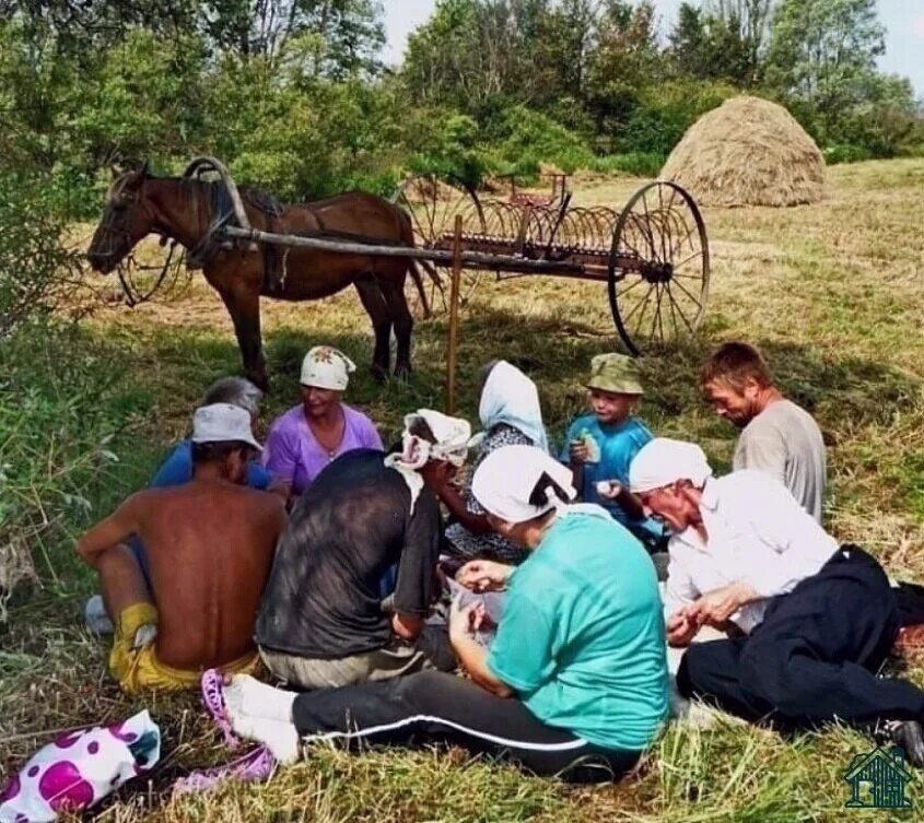 Собираемся на неделю в деревню. Сенокос в деревне. Обед на покосе. Обед на сенокосе. Заготовка сена в деревне.