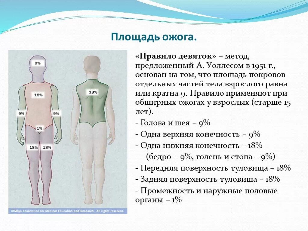 Площадь ожога правило девяток. Определение площади ожога правило девяток. Пл тела