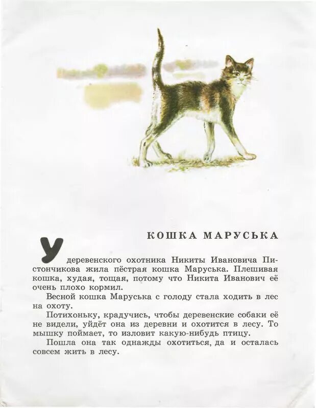 чарушин кошка маруська. рассказ чарушина курочка. кошка маруська (автор евгений чарушин). евгений чарушин кошка маруська. чарушин рассказ кошка маруська.