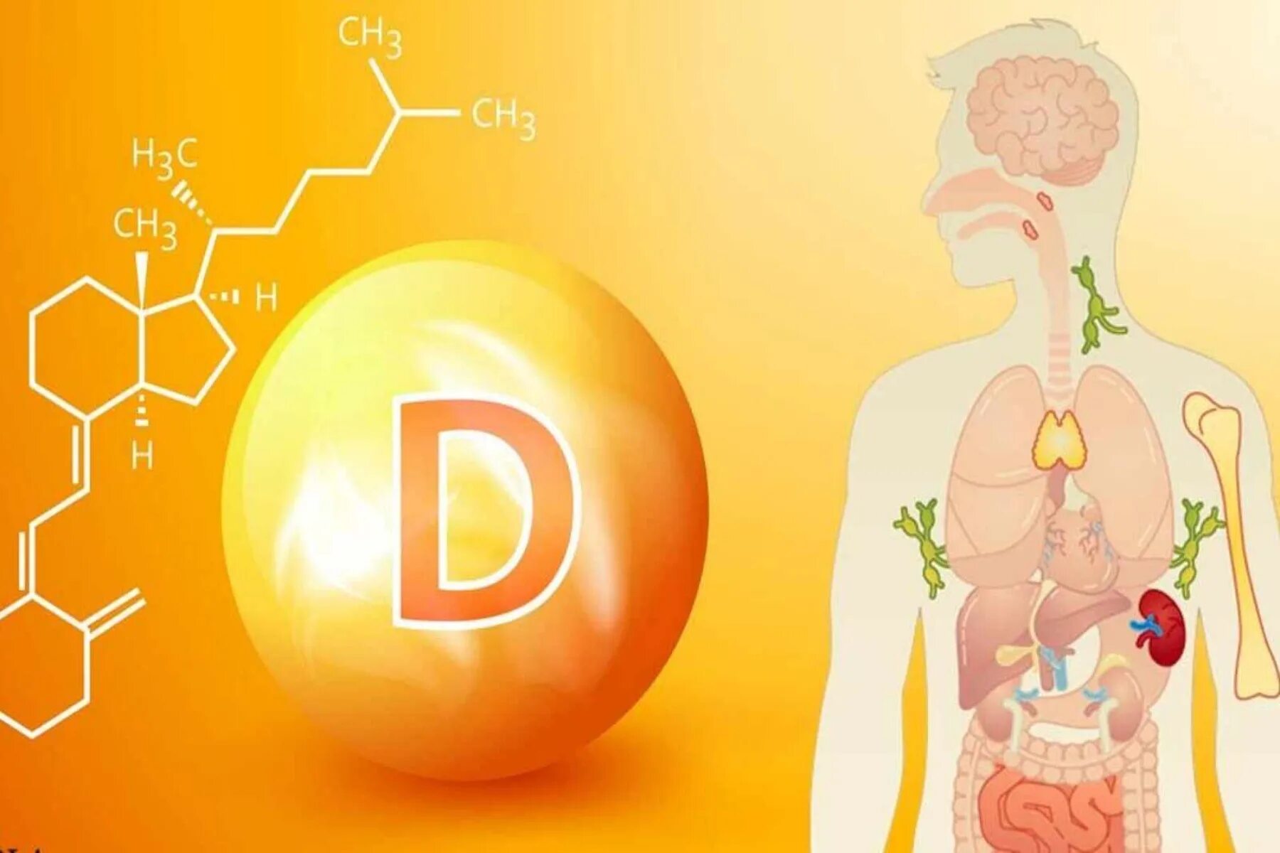 Vitamin d 3 5 000. Vitamin d deficiency. витамин д картинки для презентации. витамин vitamin d д знак. витамин д1.