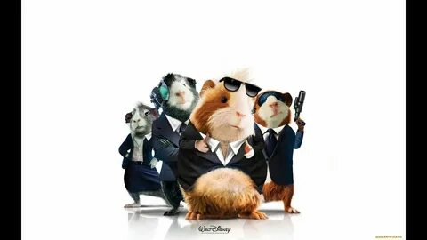 Как открыть секьюрити тим в хомяке