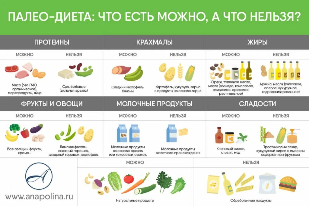 Аутоиммунное питание меню. Палео протокол питания. аутоиммунный протокол питания. аит протокол питания. диета палео протокол меню.