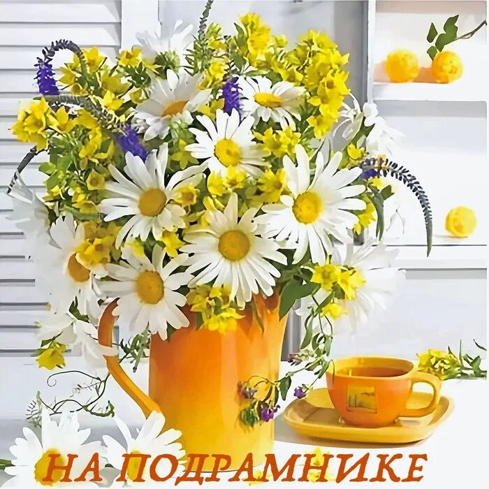 С добрым августовским утром воскресенья
