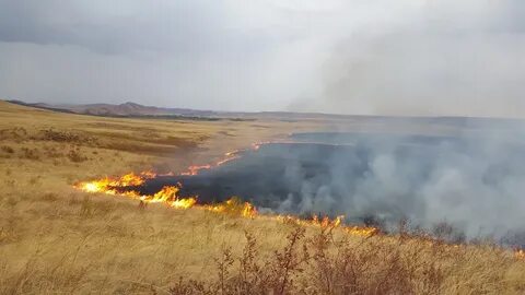 Горящая степь