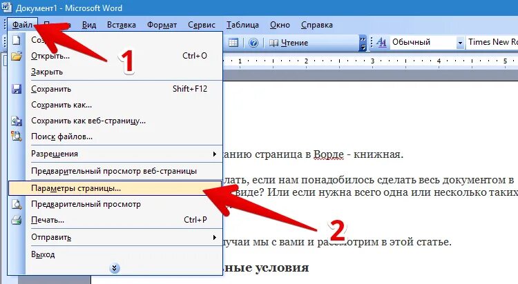 Ворд страницы 2003. Веб страница в Ворде. Как увидеть страницы в Ворде. Предварительный просмотр в Ворде.