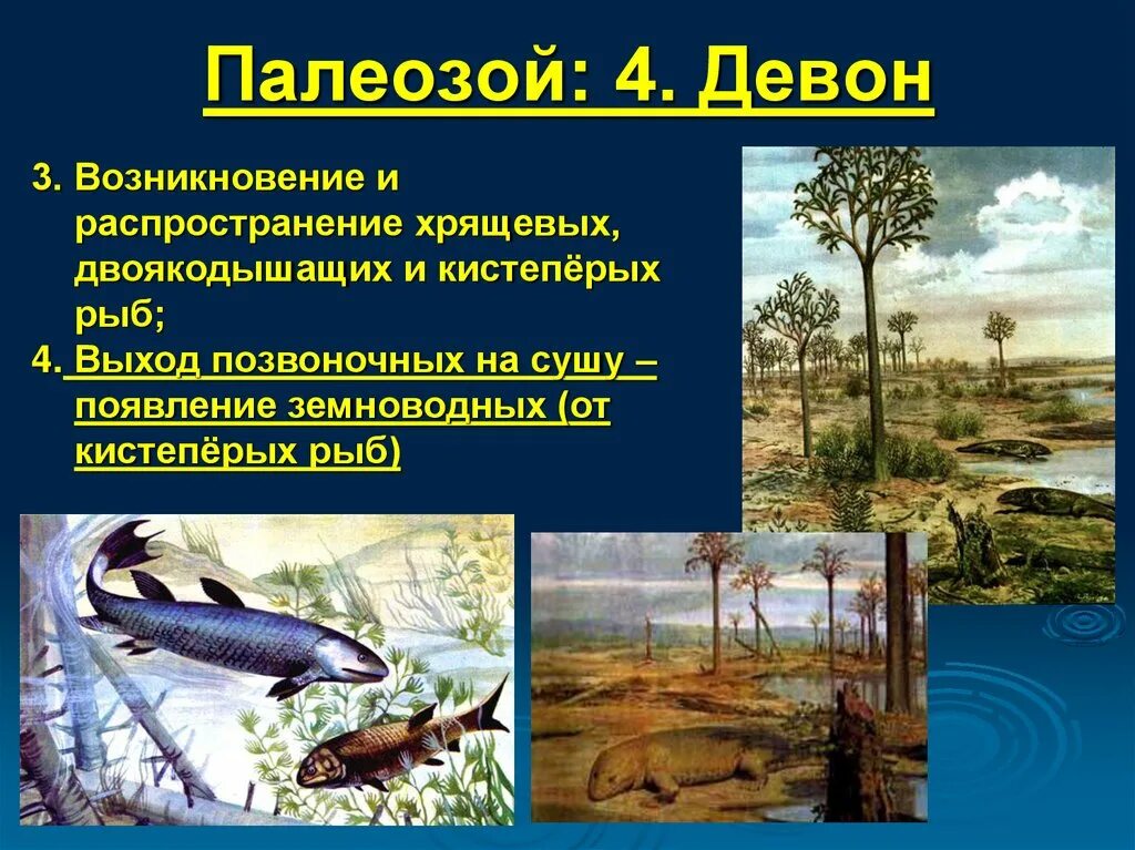 Бурное развитие жизни на суше вызвано. Девон период палеозойской эры. Девонский период палеозойской эры. Палеозойская Эра Девон климат. Палеозойская Эра периоды.