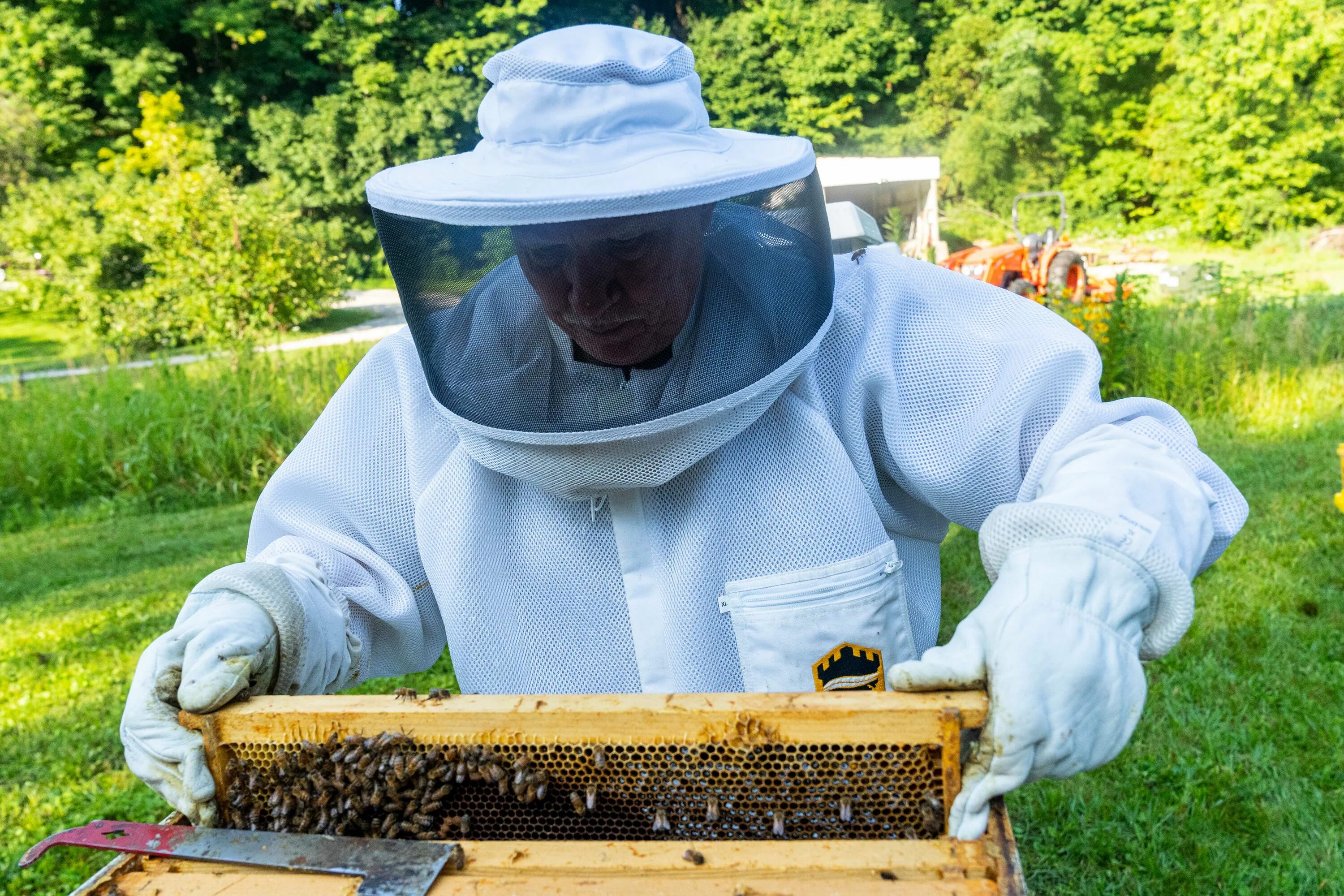 Beekeeper studio. Beekeeper studio. Beekeeper. Добыча меда. Ariciliq.