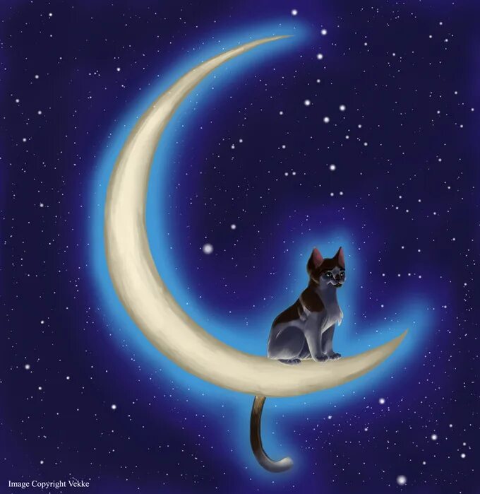 май, фото месяца с котом. кошачий месяц. звездная кошка. кот на луне. нарисовать месяц.