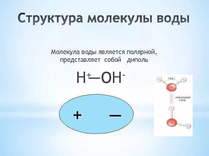 Образует молекулярную воду. Строение молекулы воды диполь. Молекула воды диполь. Строение воды диполь. Строение воды полярность молекулы.