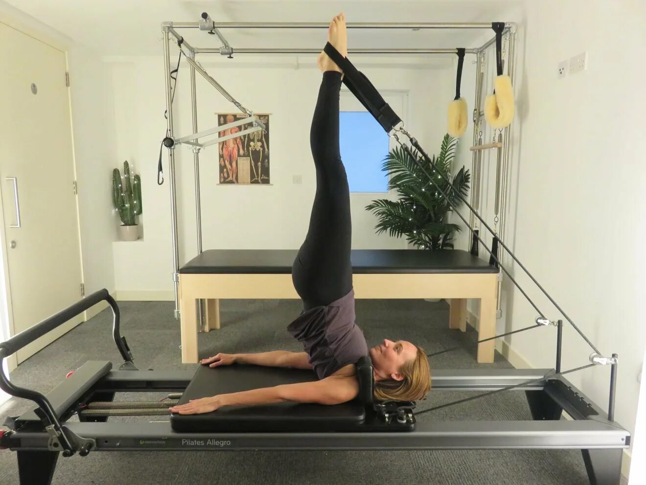 Пилатес ленинский. Юлия майорова пилатес. Пилатес студия. Пилатес ленинский. Пилатес ленинский.