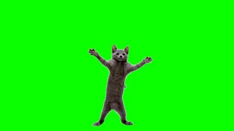 Танцующий мем на зеленом фоне