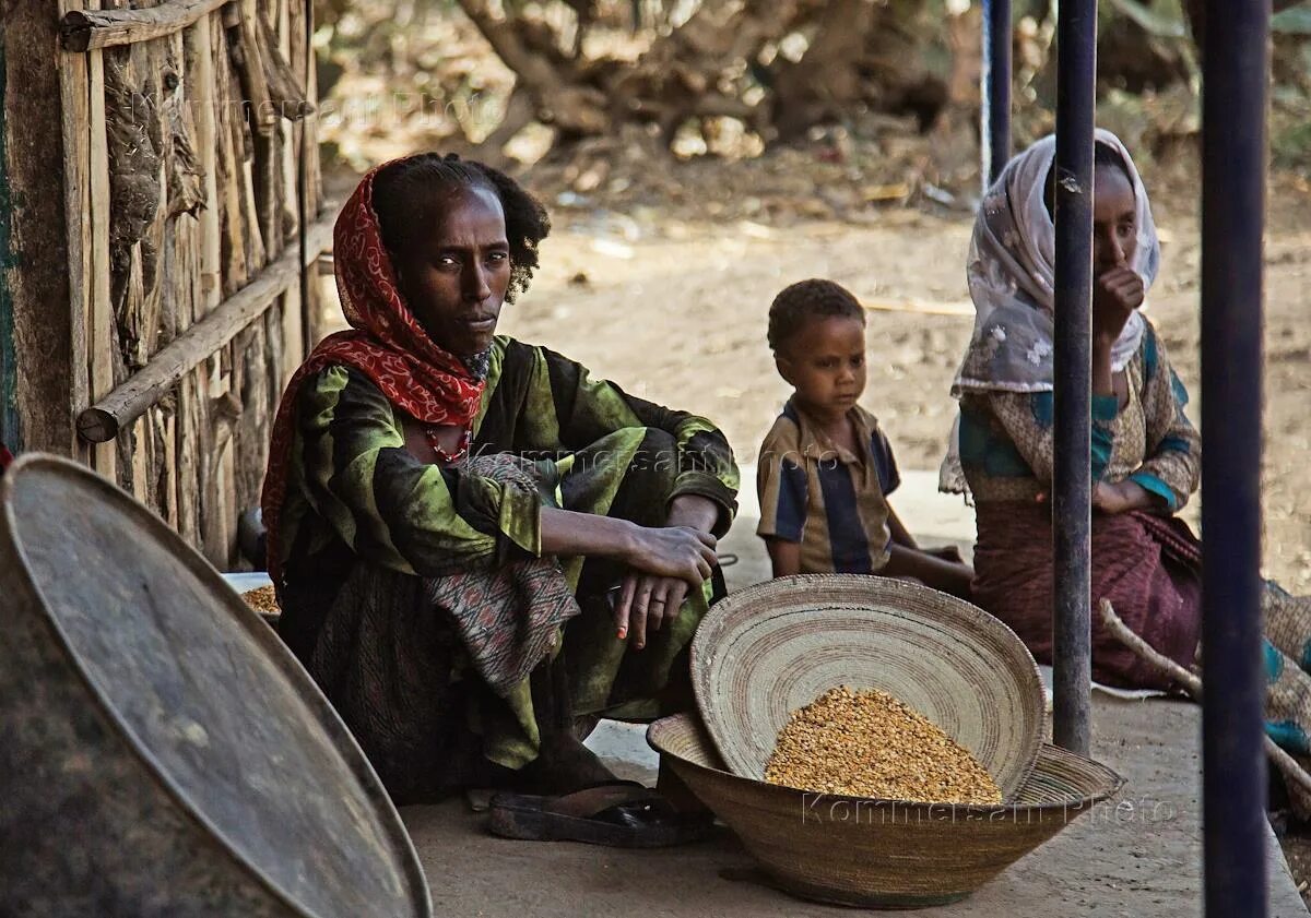 Семья в Эфиопии. Семья эфиопы пьют кофе. Красивая картинка семья эфиопы пьют кофе.