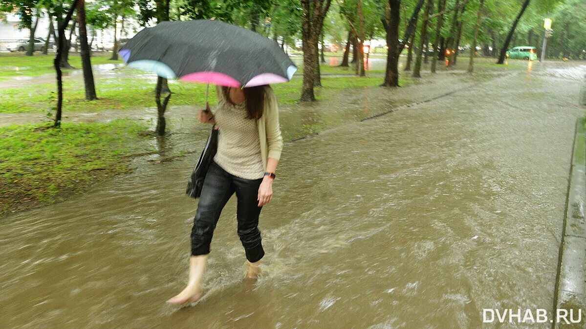 Сильный ливень. Дождь в Хабаровске. Ливень фото. Ливневые дожди.