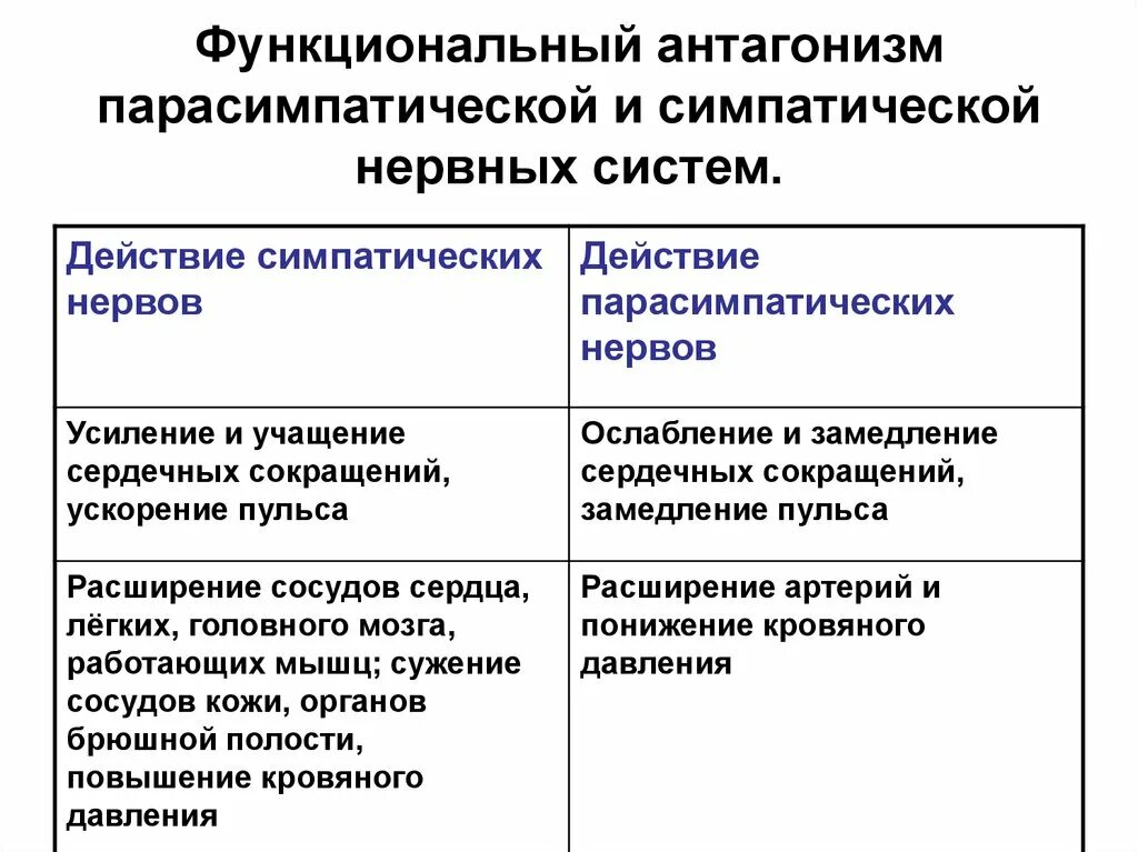 Действия симпатического и парасимпатического отделов. Характеристика симпатической нервной системы. Парасимпатическая система и симпатическая система. Разница симпатической и парасимпатической нервной системы. Антагонизм симпатической и парасимпатической систем.