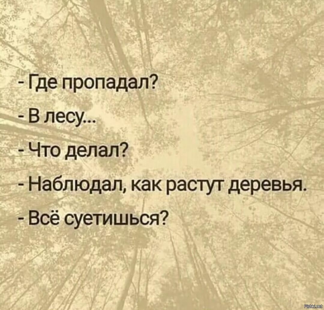 Смотрю как деревья растут. Что делаешь смотрю как деревья растут. Смотрю как деревья растут все суетишься. Наблюдаю как растут деревья все суетишься. А ты все суетишься.