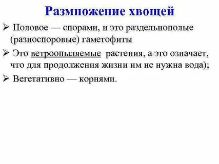 Органы размножения хвощей