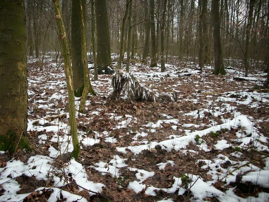 Замаскированный или замаскированы. Маскировка снайпера. Разведка маскировка. Маскировка снайпера в лесу. Замаскированный разведчик.