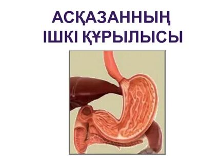 АҚШ эротикасының фотосуреттері