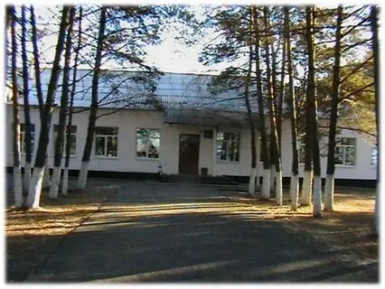 Амурская школа сайт
