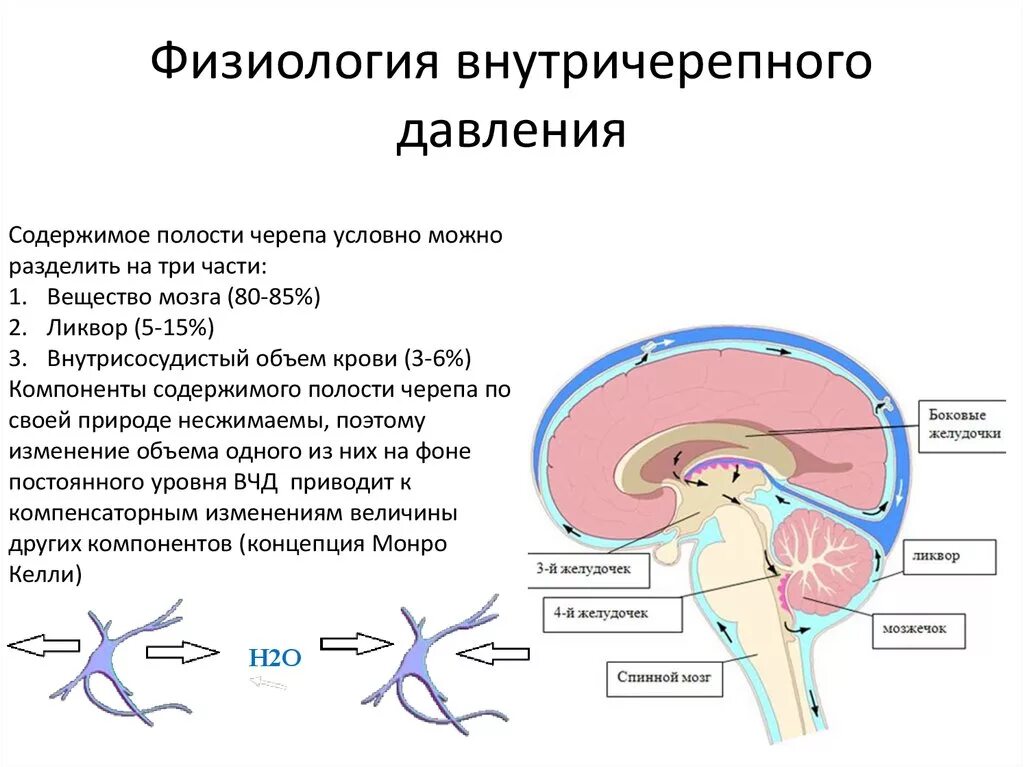 Внутричерепное давление головного мозга