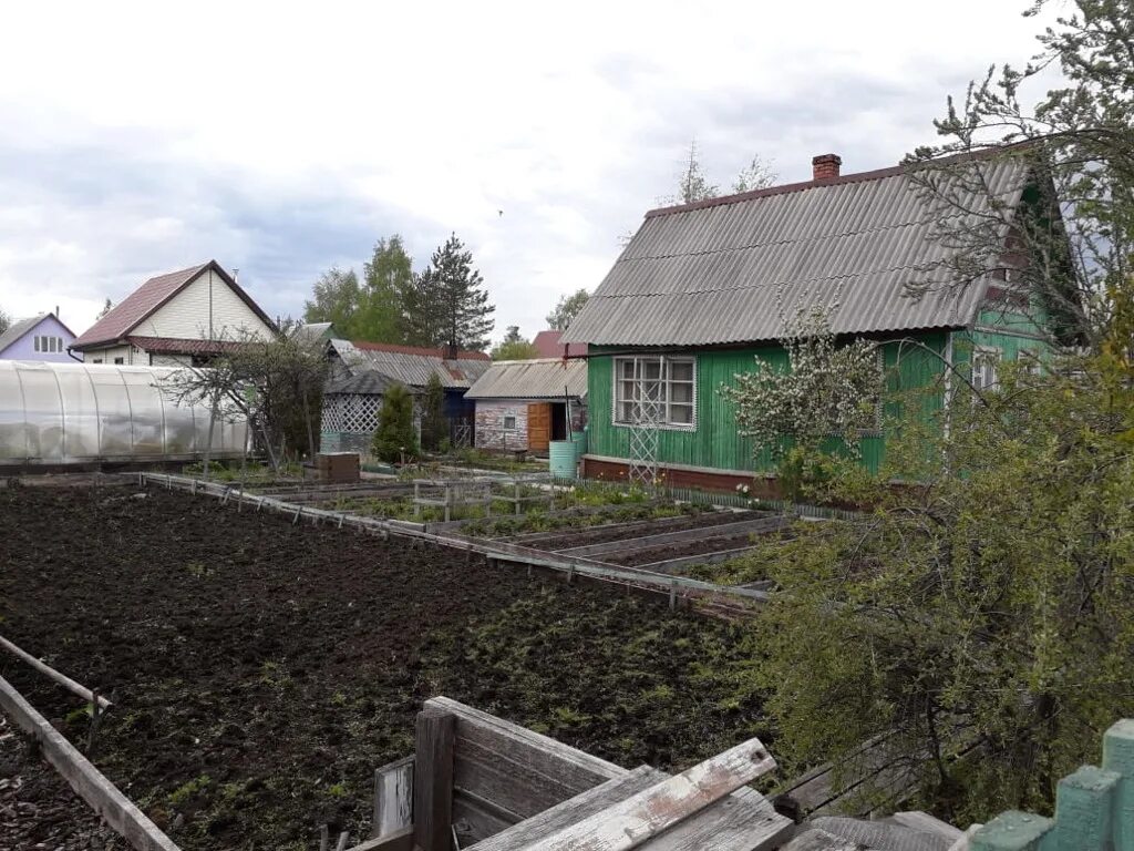 Дачи в архангельске купить свежие объявления. Дача в тайге. Дача сот Тайга. Город Тайга СНТ. Дачи в Архангельске.