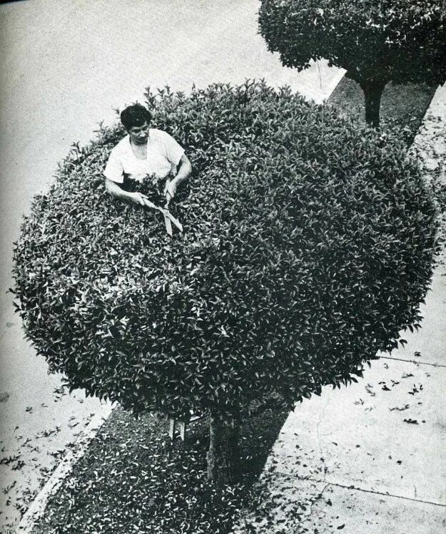 Эта фотография была сделана в