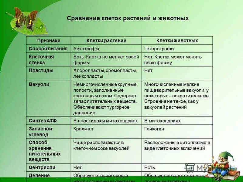 Способ питания растительной клетки и животной клетки. Сравнение растительной и животной клетки. Клетка животная и растения таблица. Сравнение растительной клетки. Питание клетки гриба