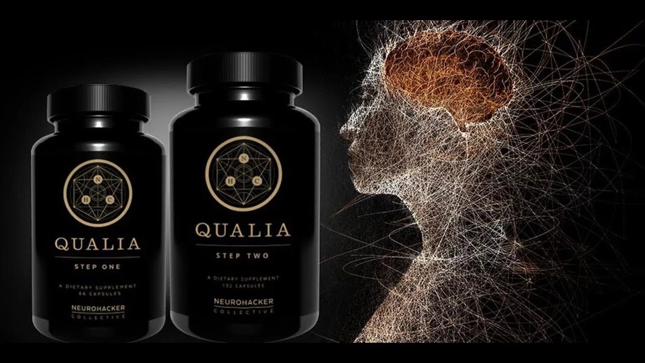 Qualia