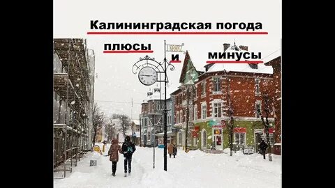 Погода в калининграде в ноябре 2024 какая