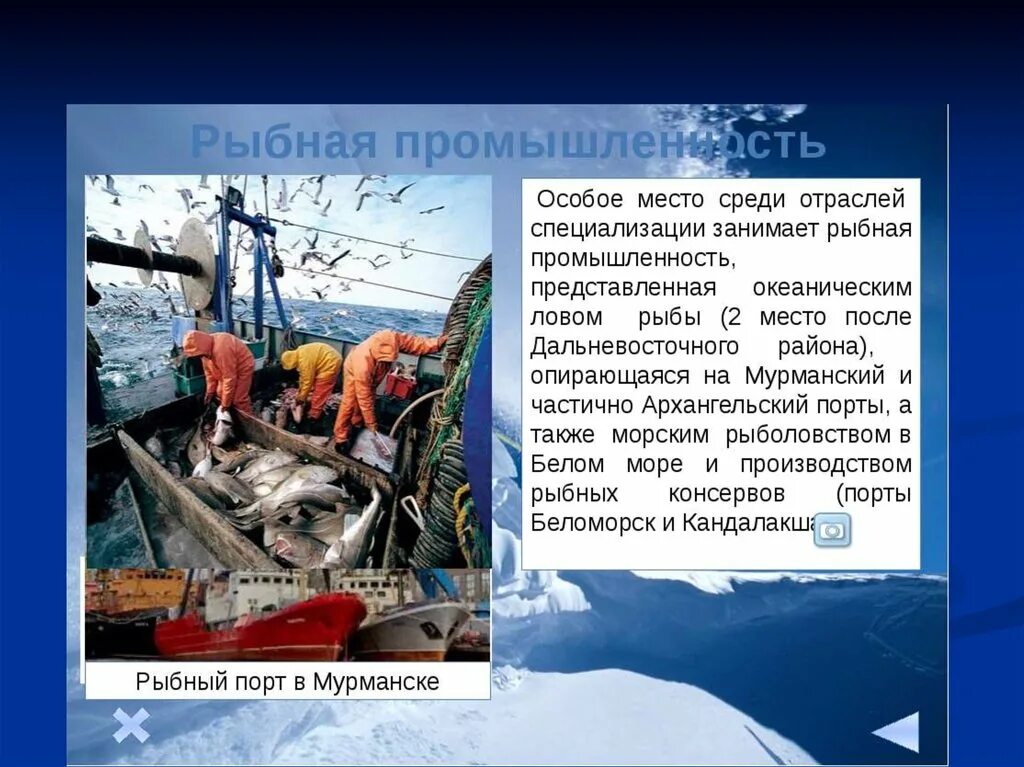 Рыбная промышленность является отраслью специализации. Отрасли промышленности европейского севера России. Хозяйство европейского севера. Рыбная промышленность европейского севера. Промышленность Северного экономического района.