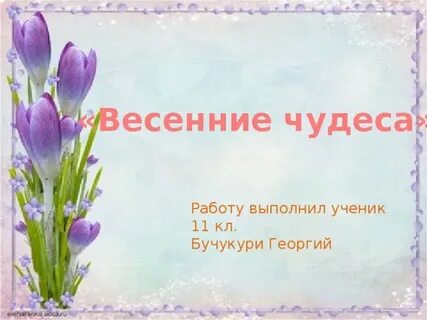 Чудо работа