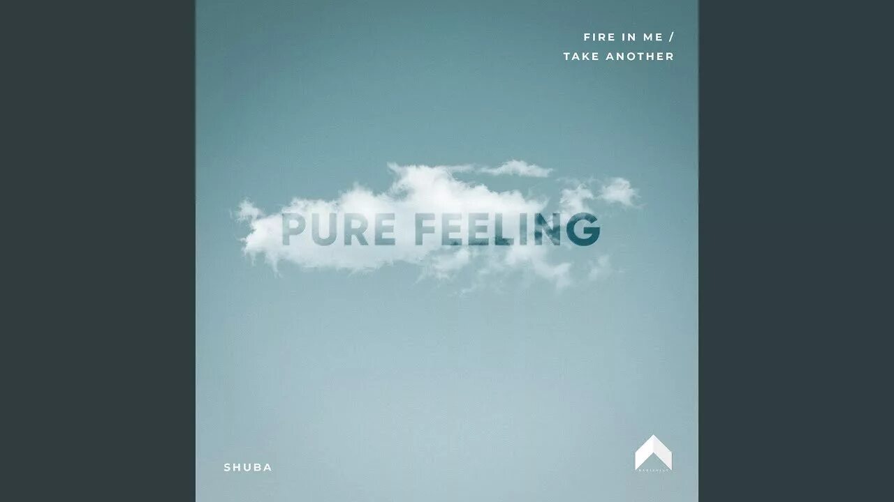 Pure feeling. Pure feelings. Shuba - Night Sky (Radio Edit).