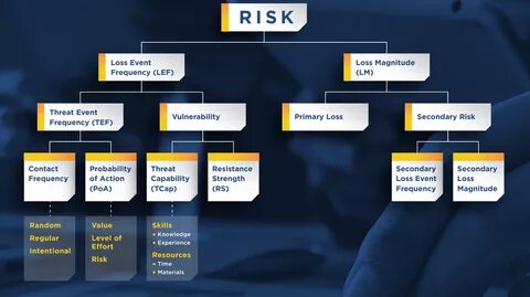 Risks of risk decisions