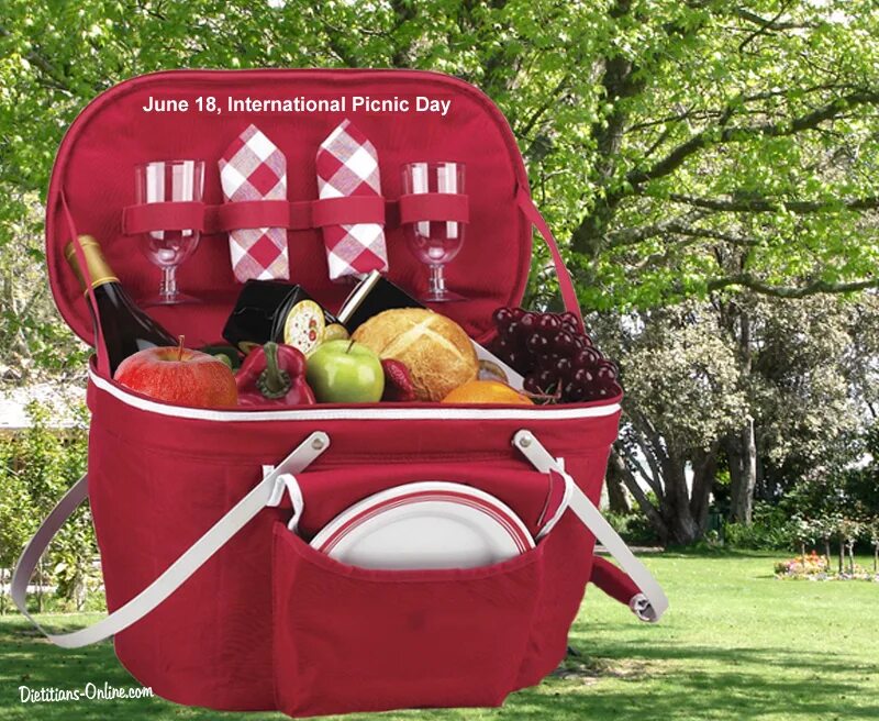 Picnic day. Фотосессия на пикнике с корзинкой. Австралия пикник на мосту. Picnic day. Международный день пикника.