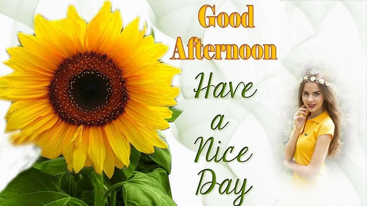Good day my dear. Good afternoon good day. Have a nice afternoon. Have a nice afternoon. Good afternoon картинки красивые.