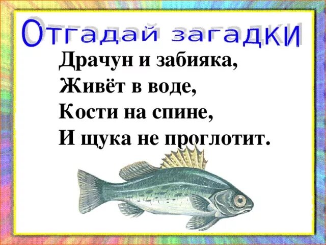 Драчун и Забияка живет в воде загадка. Драчун и Забияка живет в воде кости на спине и щука. Драчун и Забияка живет в воде кости. Загадки про тунец.