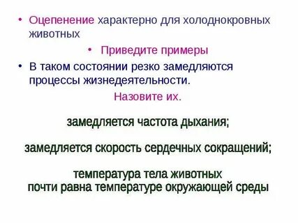 Оцепенение 10 букв
