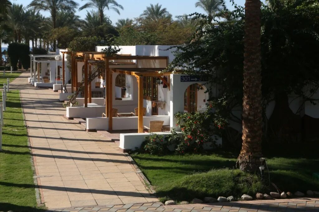 Dessole Seti Sharm. Seti Sharm 4. Дессоле сети Шарм Шарм-Эль-Шейх. Dessole Seti Sharm Resort 4.