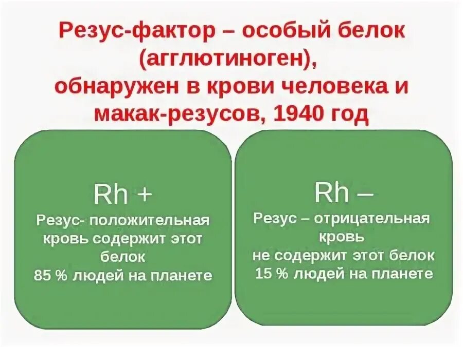 Сдать анализ на резус фактор и группу. Резус-фактор задачи по генетике. Задачи на резус фактор генетика. Задачи на резус фактор. Резус фактор в генетических задачах.