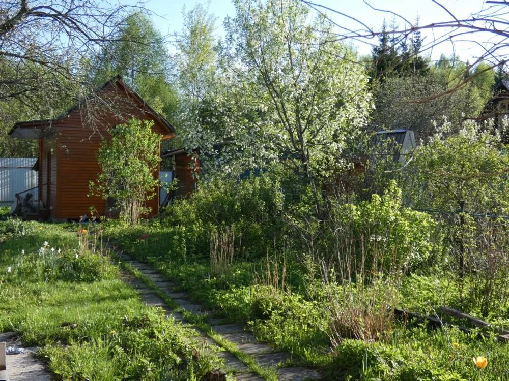 снт дружба мгу. королёв снт дружба. снт дружба земельный участок. снт дружба красное село. снт промежицы псков участки.