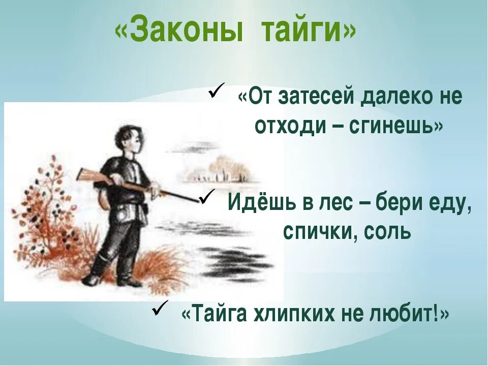 Васюткино озеро урок 1. Поговорки о тайге. Цитаты о тайге. Пословицы о тайге. Законы тайги.