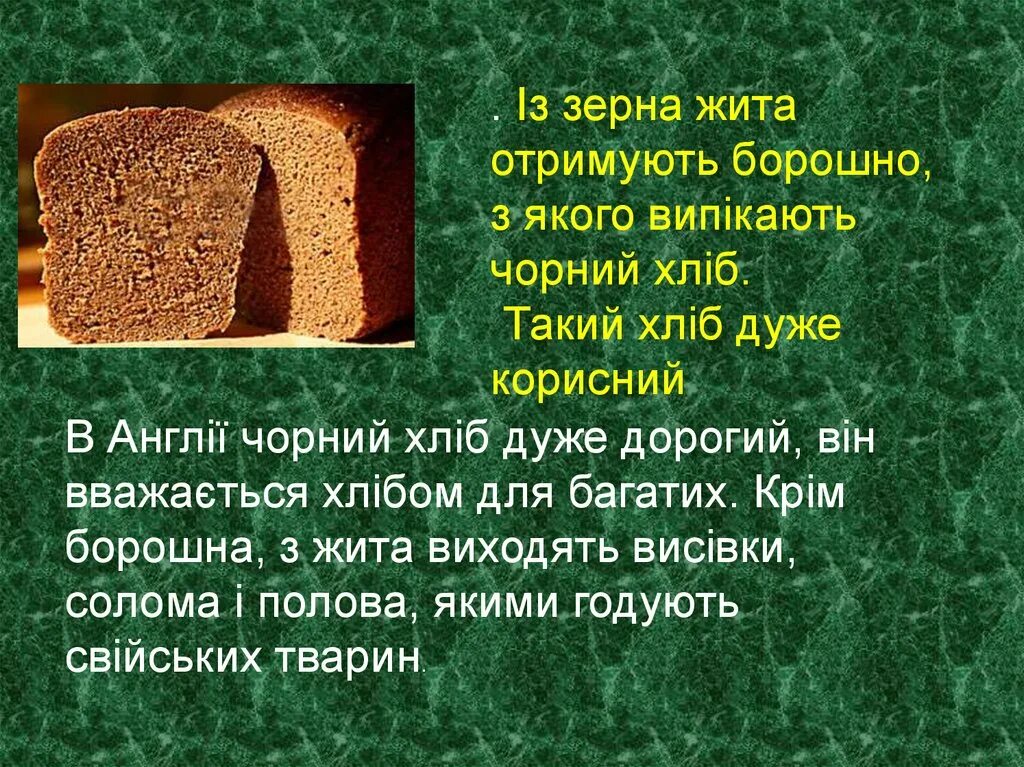 Хлеб из ржи. Из чего изготовлен хлеб. Что получают из ржи. Что делают из ржи.