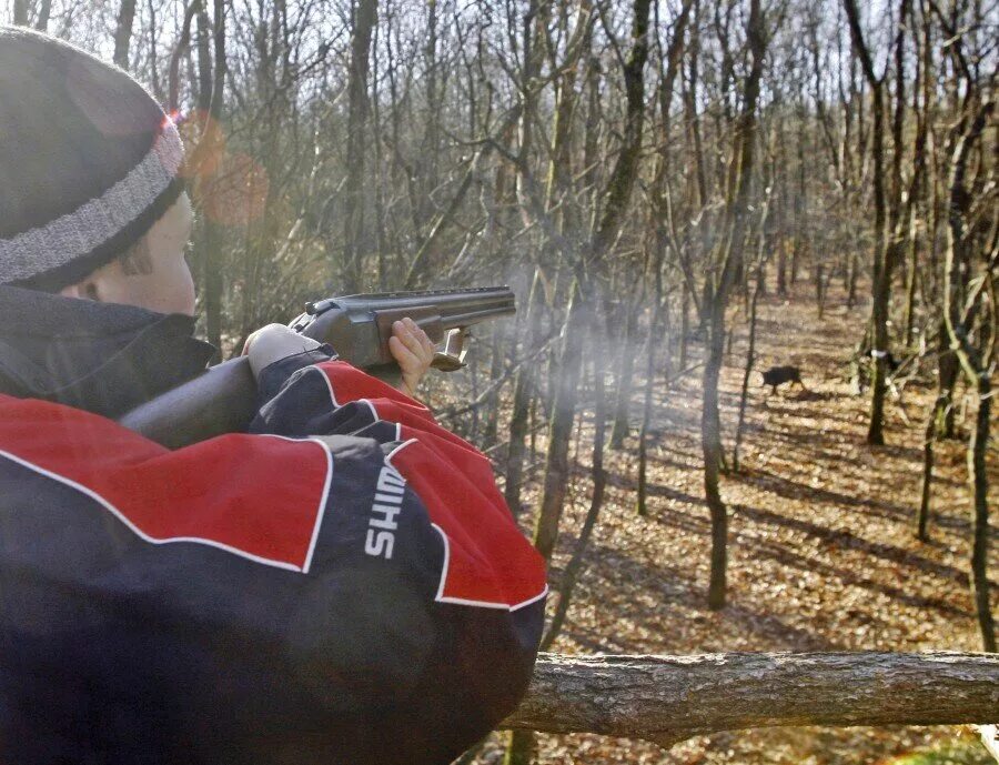 Девушка с луком. Охотник с ружьем. Стрельба в лесу. Стрельба в лесу. Охотник с винтовкой.