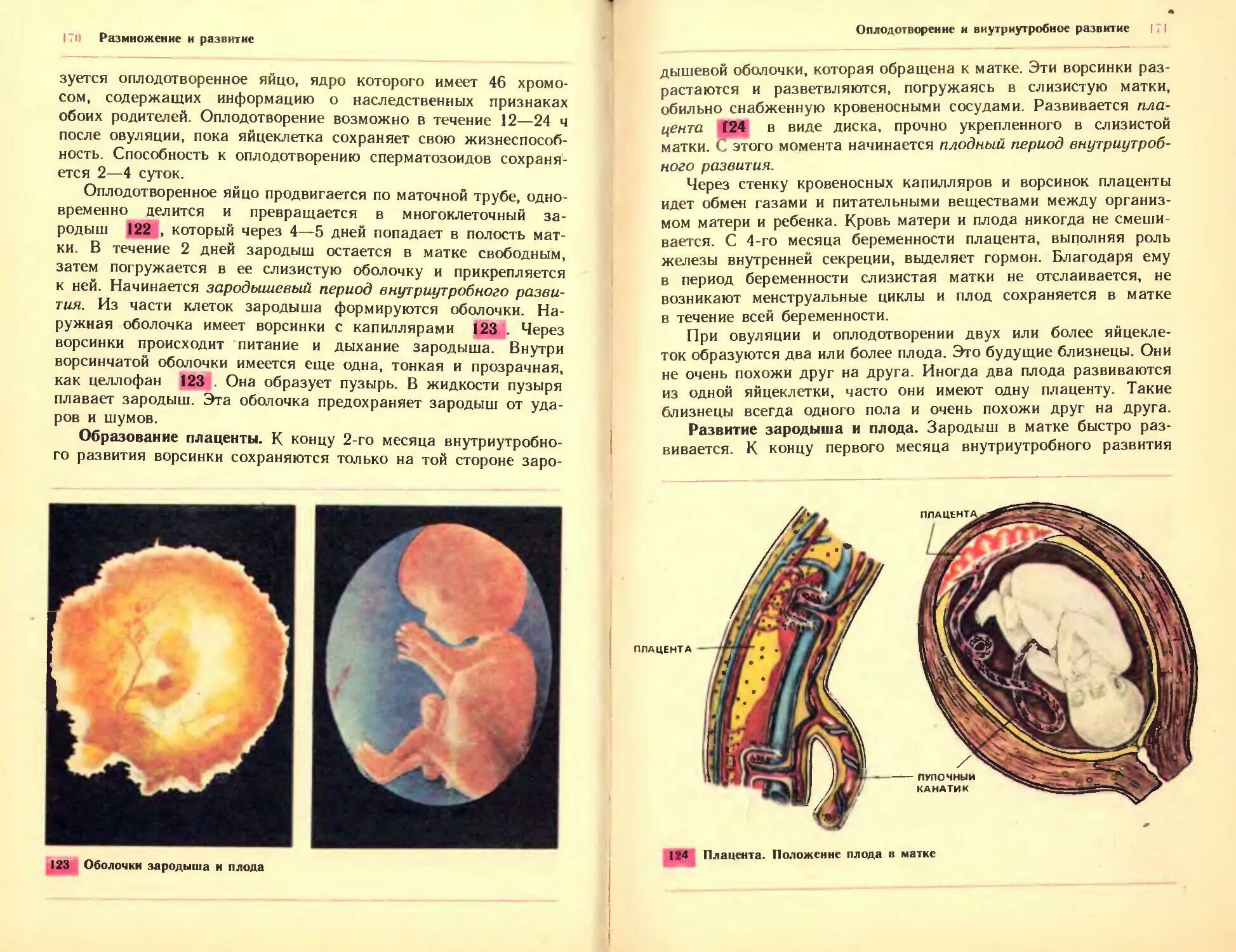 Плод человека получает кислород через. Степени зрелости плаценты таблица. Формирование плаценты норма. Беременность формирование плода плаценты. Оболочки плода человека.