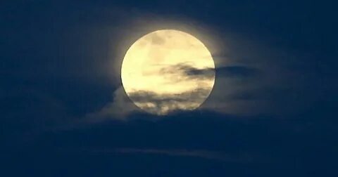 Lua true
